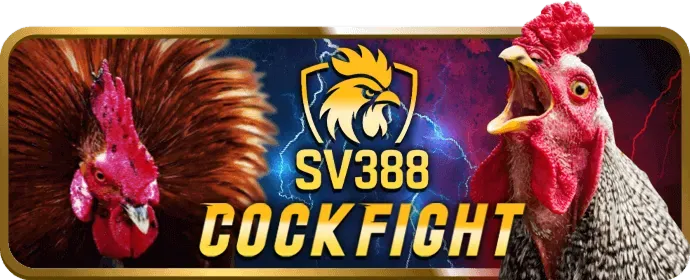 Các loại máy đánh bạc cổ điển tại kinh88 casino